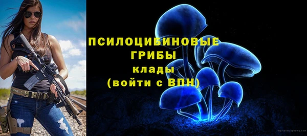 тгк Алексин